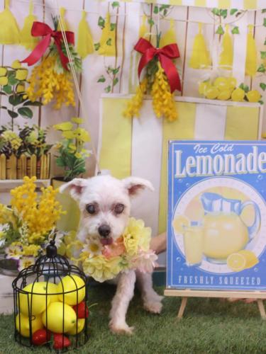 20240412ひなちゃん